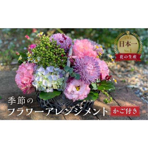 ふるさと納税 愛知県 田原市 季節のお花を使った フラワーアレンジメント 花 かご付き 生花 お任せ ギフト プレゼント 飾り 愛知県 田原市 渥美半島 15000円 愛知県 田原市 23cm