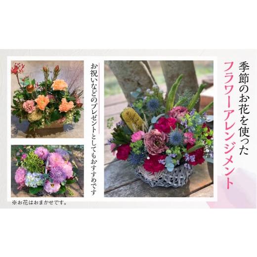 ふるさと納税 愛知県 田原市 季節のお花を使った フラワーアレンジメント 花 かご付き 生花 お任せ ギフト プレゼント 飾り 愛知県 田原市 渥美半島 15000円 愛知県 田原市 23cm