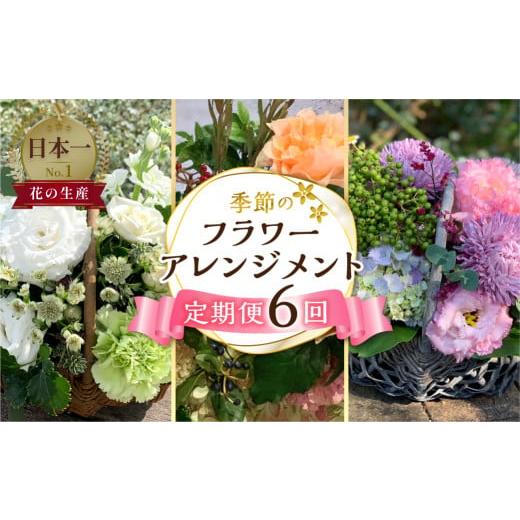 ふるさと納税 愛知県 田原市 [5月末金額改定予定]定期便 6回 季節のお花を使った フラワーアレンジメント 花 かご付き 生花 お任せ ギフト プレゼント 飾り …