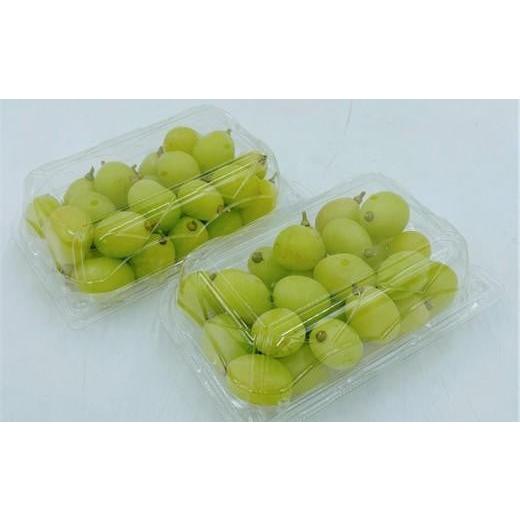 ふるさと納税 ぶどう マスカット 愛媛県 内子町 内子町産 シャインマスカット 約700g パック詰め 2026年8月下旬〜発送開始 シャインマスカット 大人気 愛媛県…