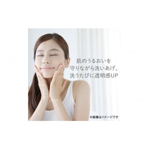 ふるさと納税 美容 神奈川県 小田原市 花王 susai ビューティクリアパウダー ウオッシュ N 6個セット スイサイ 美容 化粧品 コスメ 人気 スキンケア 洗顔 …の画像