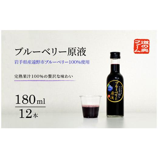 ふるさと納税 岩手県 遠野市 【農薬不使用】遠野の ブルーベリー から絞った 原液 180ml 12本 セット【道の奥ファーム】