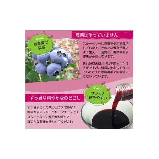 ふるさと納税 岩手県 遠野市 【農薬不使用】遠野の ブルーベリー から絞った 原液 180ml 12本 セット【道の奥ファーム】