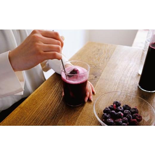 ふるさと納税 岩手県 遠野市 【農薬不使用】遠野の ブルーベリー から絞った 原液 180ml 12本 セット【道の奥ファーム】
