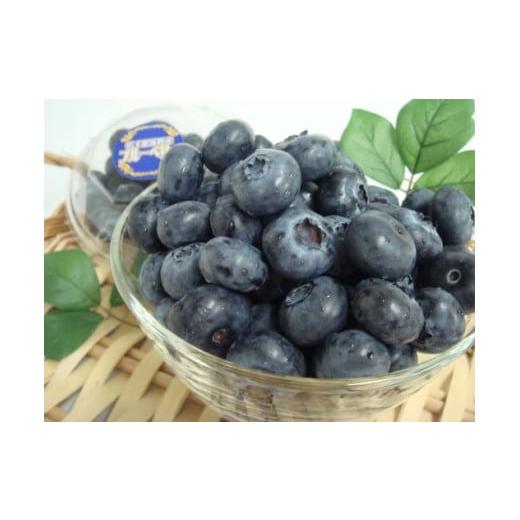 ふるさと納税 岩手県 遠野市 【農薬不使用】遠野の ブルーベリー から絞った 原液 180ml 12本 セット【道の奥ファーム】