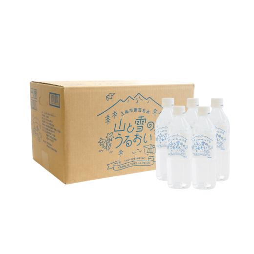ふるさと納税 水・ミネラルウォーター 500mL〜999mL 新潟県 三条市  定期便500ml×24本×3か月 ナチュラルミネラルウォーター 計500ml×72本 3か月連続でお届…の画像