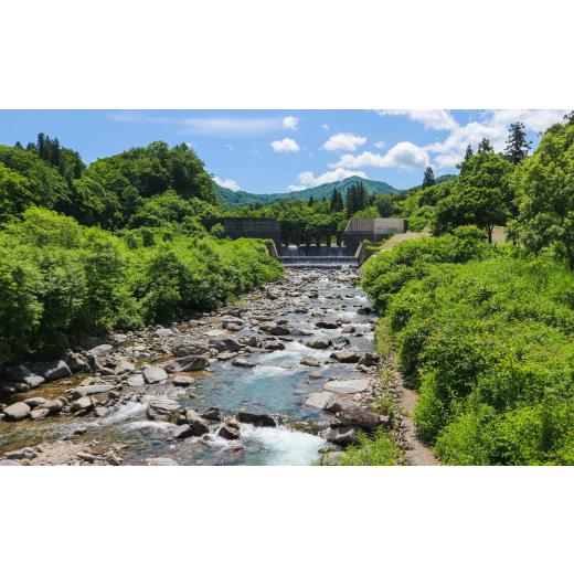 ふるさと納税 水・ミネラルウォーター 500mL〜999mL 新潟県 三条市  定期便500ml×24本×3か月 ナチュラルミネラルウォーター 計500ml×72本 3か月連続でお届…の画像