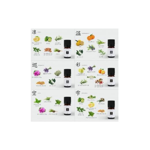 ふるさと納税 アロマ・入浴剤 アロマ用品 愛知県 尾張旭市 ease12ヶ月のブレンドオイル(5ml×12本)+アロマストーンMONO3種セット 1419811の画像