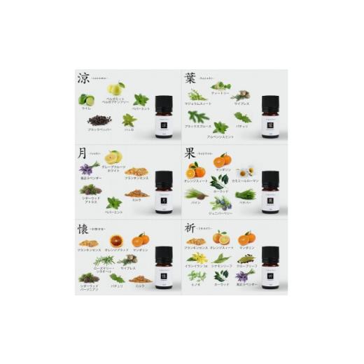 ふるさと納税 アロマ・入浴剤 アロマ用品 愛知県 尾張旭市 ease12ヶ月のブレンドオイル(5ml×12本)+アロマストーンMONO3種セット 1419811の画像