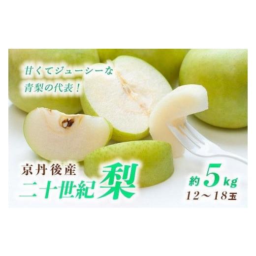 ふるさと納税 梨 京都府 京丹後市 梨/20世紀梨 先行予約 甘〜ぃ ジューシー 青梨の王様 京丹後産 二十世紀梨5kg(12〜18玉)(2026年9月上旬〜発送) YK0055…