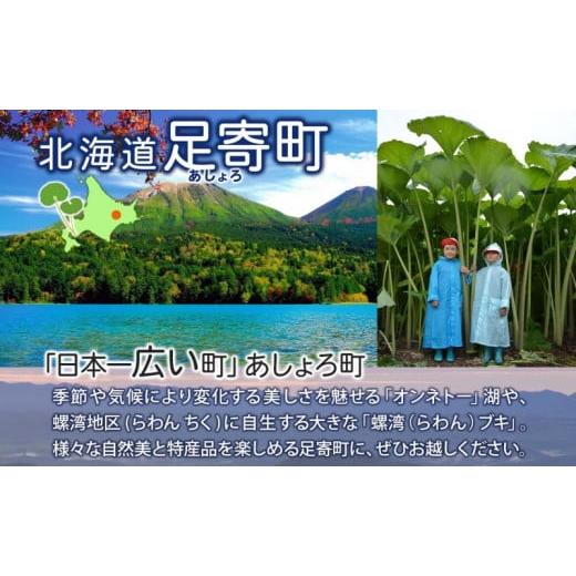 ふるさと納税 北海道 足寄町 北海道 北十勝 短角牛 ハンバーグ 160g×3 計480g 肉 ビーフハンバーグ ビーフ 赤身 赤身肉 和牛 牛肉 国産 ご飯 贅沢 肉厚 おか…｜furusatochoice｜06