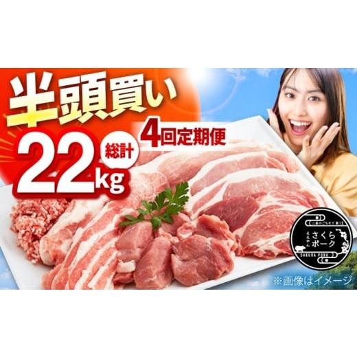 ふるさと納税 豚肉 ロース 三重県 亀山市 切り方「おすすめA」 4回定期便 ええやんさくらポーク 小林ファーム 豚肉 半頭買い(22kg) 亀山市/小林ファーム …