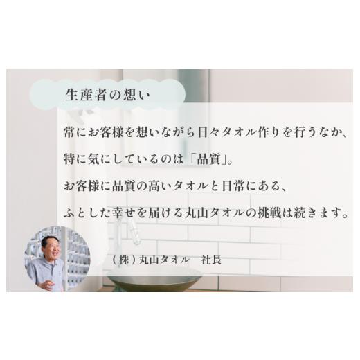 ふるさと納税 タオル・寝具 フェイスタオル 愛媛県 今治市 （今治タオルブランド認定）雲ごこち フェイスタオル 2枚セット(オフホワイト) IA05010FT2OW ふわふ…の画像
