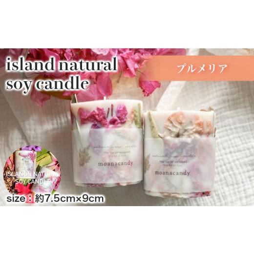 ふるさと納税 雑貨・日用品 インテリア 沖縄県 渡嘉敷村 ふるさと納税 キャンドル プルメリア 1個(7.5cm×9cm) プルメリア