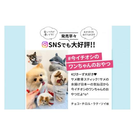 ふるさと納税 宮城県 気仙沼市 UMINO PET サメ軟骨スティック 40g×1個 [石渡商店 宮城県 気仙沼市 20562363] ペットフード ドッグフード 犬 いぬ 犬用 ペット…｜furusatochoice｜06