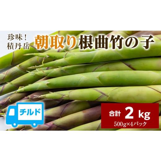 ふるさと納税 北海道 積丹町 珍味積丹岳根曲竹の子2kg(500g×4パック)