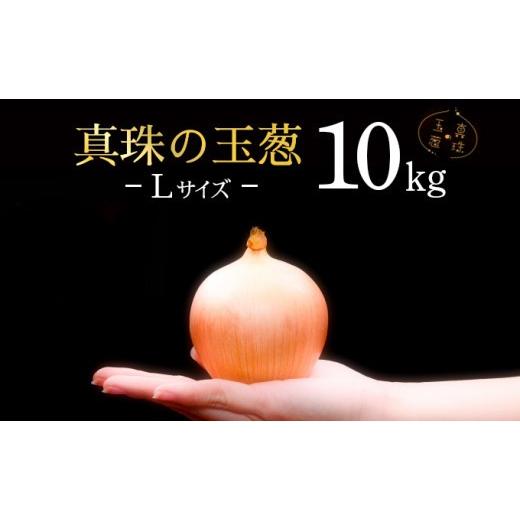 ふるさと納税 野菜類 玉ねぎ 北海道 岩見沢市 真珠の玉葱 Lサイズ 10kg 海のミネラルで育てた玉葱 50104 10kg
