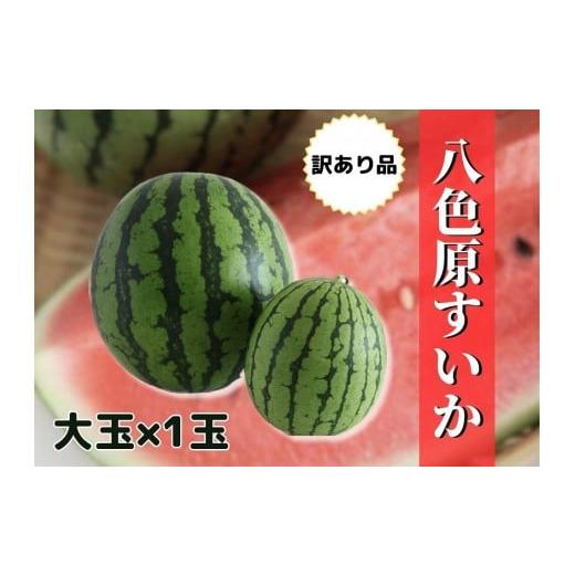 ふるさと納税 スイカ 新潟県 南魚沼市 先行予約 新潟県南魚沼産 わけあり 八色原スイカ 大玉1玉 2026年7月下旬発送 お届け日時指定不可