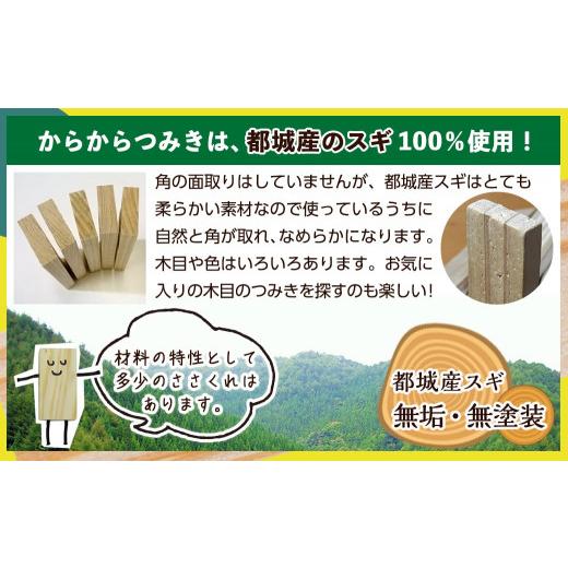 ふるさと納税 木工品・竹工品 宮崎県 都城市 都城市産スギ「からからつみき」3種類クリエイティブセット 680P入 _MB-D901_(都城市) 都城市産杉 つみき からか…の画像