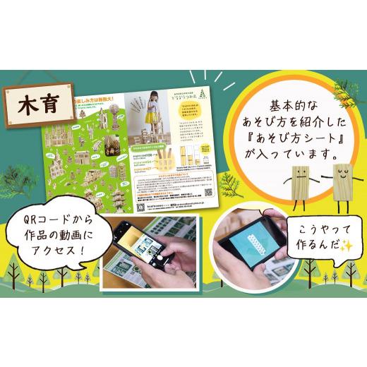 ふるさと納税 木工品・竹工品 宮崎県 都城市 都城市産スギ「からからつみき」3種類クリエイティブセット 680P入 _MB-D901_(都城市) 都城市産杉 つみき からか…の画像
