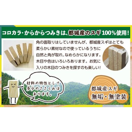 ふるさと納税 木工品・竹工品 宮崎県 都城市 都城市産スギ「コロカラ」\u0026「からからつみき」3種類クリエイティブセット 504P入 _AI-D903_(都城市) 都城市産…の画像