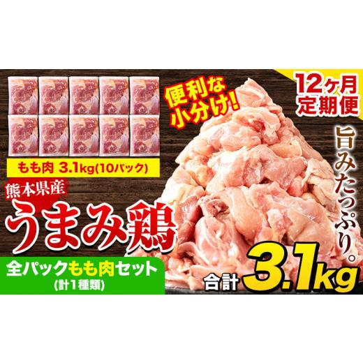 ふるさと納税 鶏肉 モモ 熊本県 津奈木町 12ヶ月定期便 鶏肉 うまみ鶏 全パックもも肉セット(計1種類) 計3.1kg 若鶏 冷凍 小分け[お申込み月の翌月より出荷…