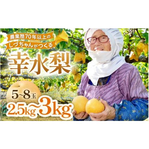 ふるさと納税 梨 福井県 あわら市 先行予約 しづちゃんが作る幸水梨 5〜8玉入(2.5〜3kg)農業歴70年以上 2026年8月中旬以降順次発送予定 aw075-a006