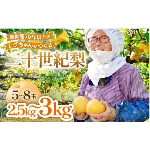 ふるさと納税 梨 福井県 あわら市 先行予約 しづちゃんが作る二十世紀梨 5〜8玉入(2.5〜3kg) 農業歴70年以上 2026年9月中旬以降順次発送予定 aw075-a009