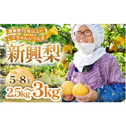 ふるさと納税 梨 福井県 あわら市 先行予約 しづちゃんが作る新興梨 5〜8玉入(2.5〜3kg)農業歴70年以上 2026年10月上旬以降順次発送予定 aw075-a010
