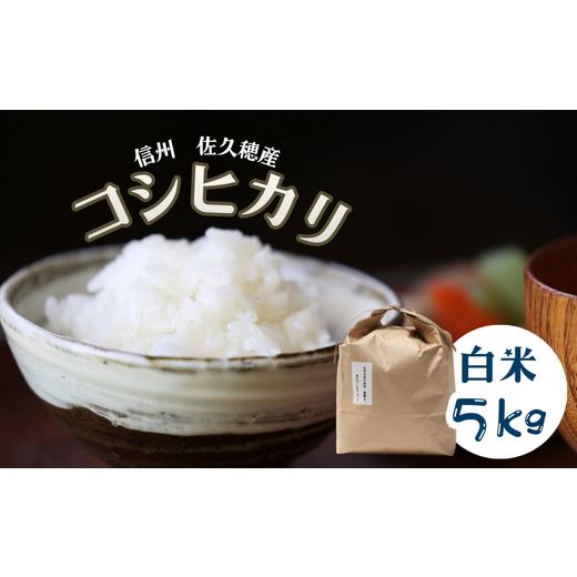 ふるさと納税 米 コシヒカリ 長野県 佐久穂町 令和7年産 炊きあがりのつやと香りが良く、うま味も強い コシヒカリ 白米5kg 佐久穂とさや農園[ST-115]