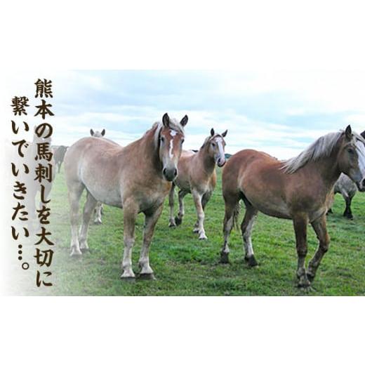 ふるさと納税 馬肉 熊本県 山鹿市  12回定期便 ふじ馬刺し おつまみ ユッケ 6個セット 3586 ZDT030 馬刺し 馬肉 馬刺 定期 熊本の画像