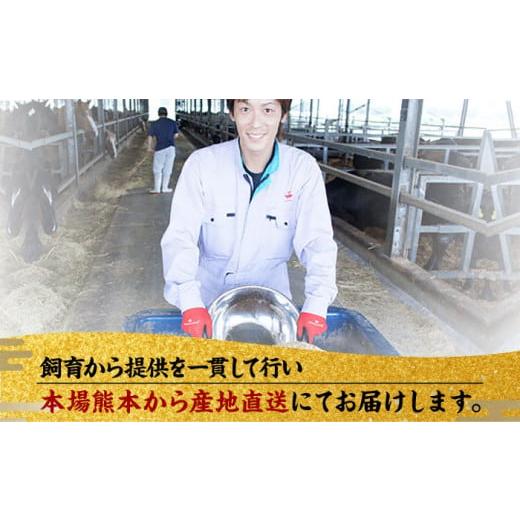 ふるさと納税 馬肉 熊本県 山鹿市  12回定期便 ふじ馬刺し おつまみ ユッケ 6個セット 3586 ZDT030 馬刺し 馬肉 馬刺 定期 熊本の画像