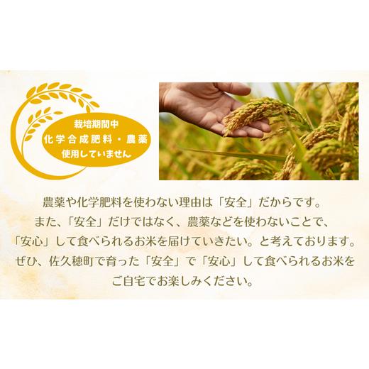 ふるさと納税 米 コシヒカリ 長野県 佐久穂町 定期便２ヶ月 令和7年産 炊きあがりのつやと香りが良く、うま味も強い　コシヒカリ　白米5kg×2袋　計20kg　佐…