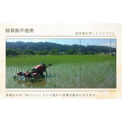 ふるさと納税 米 コシヒカリ 長野県 佐久穂町 定期便２ヶ月 令和7年産 炊きあがりのつやと香りが良く、うま味も強い　コシヒカリ　白米5kg×2袋　計20kg　佐…