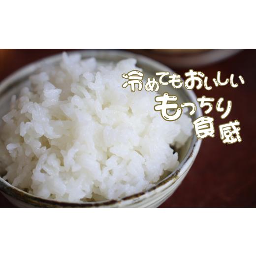 ふるさと納税 米 コシヒカリ 長野県 佐久穂町 定期便２ヶ月 令和7年産 炊きあがりのつやと香りが良く、うま味も強い　コシヒカリ　白米5kg×2袋　計20kg　佐…