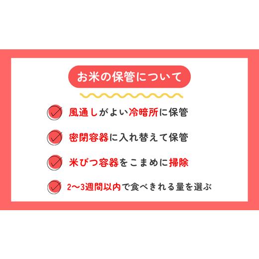 ふるさと納税 米 コシヒカリ 長野県 佐久穂町 定期便２ヶ月 令和7年産 炊きあがりのつやと香りが良く、うま味も強い　コシヒカリ　白米5kg×2袋　計20kg　佐…