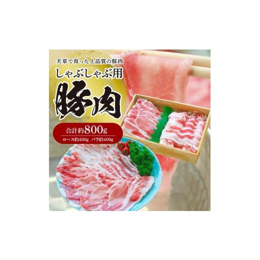 ふるさと納税 豚肉 しゃぶしゃぶ 熊本県 天草市 S003-015_しゃぶしゃぶ用豚肉 約800g(ロース約400g・バラ約400g)