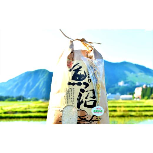 【中古品 】 ふるさと納税 新潟県 湯沢町 令和5年産【精米5kg／12回定期便】谷川連峰の清流で育ったブランド米「福ちゃん米」 【湯沢産コシヒカリ】 【BCD2670681735】(94080円)