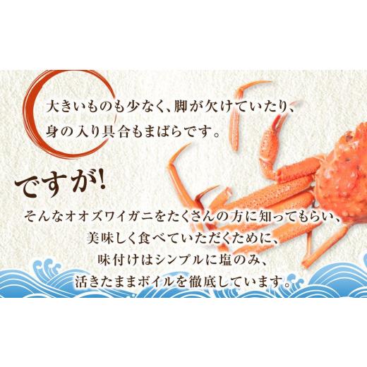 ふるさと納税 カニ ずわいガニ 北海道 様似町 「訳あり」オオズワイガニボイル 中サイズ 3〜4尾 約900gの画像