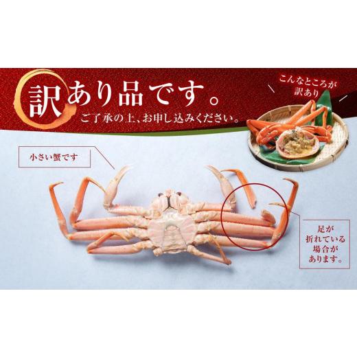 ふるさと納税 カニ ずわいガニ 北海道 様似町 「訳あり」オオズワイガニボイル 中サイズ 3〜4尾 約900gの画像