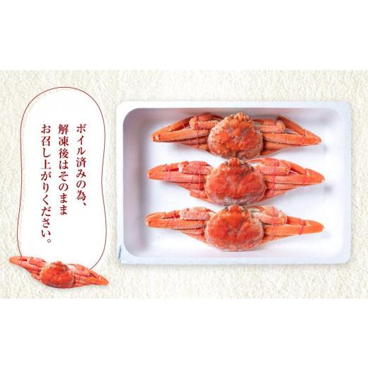 ふるさと納税 カニ ずわいガニ 北海道 様似町 「訳あり」オオズワイガニボイル 中サイズ 3〜4尾 約900gの画像