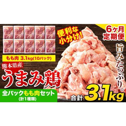 ふるさと納税 鶏肉 モモ 熊本県 津奈木町 6ヶ月定期便 鶏肉 うまみ鶏 全パックもも肉セット(計1種類) 若鶏 冷凍 小分け[お申込み月の翌月より出荷開始] も…