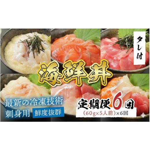 ふるさと納税 魚貝類 サーモン 福井県 鯖江市  定期便 6ヶ月連続お届け 刺身用 おまかせ海鮮丼の具 60g（タレ付）× 5人前 × 6回 最新の冷凍技術 ／ 国産 グ…の画像