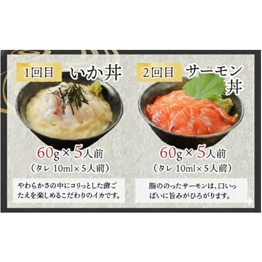 ふるさと納税 魚貝類 サーモン 福井県 鯖江市  定期便 6ヶ月連続お届け 刺身用 おまかせ海鮮丼の具 60g（タレ付）× 5人前 × 6回 最新の冷凍技術 ／ 国産 グ…の画像