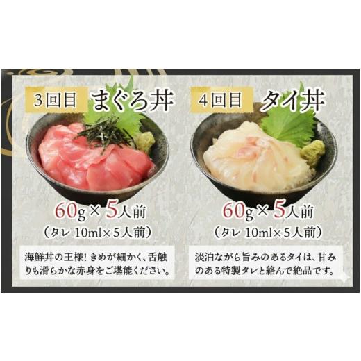 ふるさと納税 魚貝類 サーモン 福井県 鯖江市  定期便 6ヶ月連続お届け 刺身用 おまかせ海鮮丼の具 60g（タレ付）× 5人前 × 6回 最新の冷凍技術 ／ 国産 グ…の画像