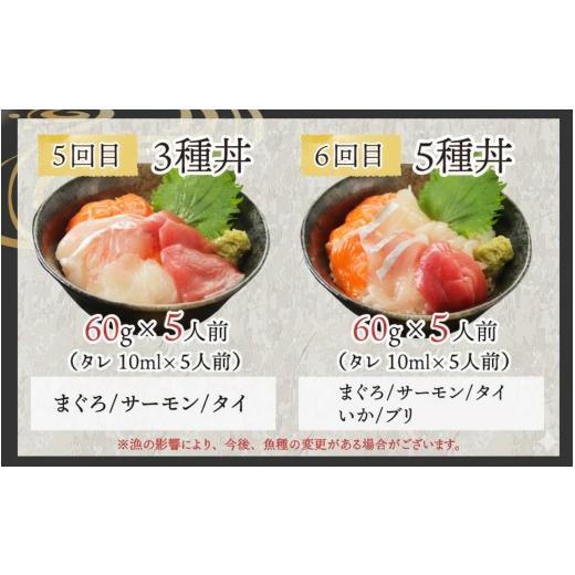 ふるさと納税 魚貝類 サーモン 福井県 鯖江市  定期便 6ヶ月連続お届け 刺身用 おまかせ海鮮丼の具 60g（タレ付）× 5人前 × 6回 最新の冷凍技術 ／ 国産 グ…の画像