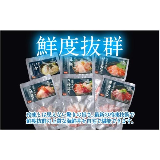 ふるさと納税 魚貝類 サーモン 福井県 鯖江市  定期便 6ヶ月連続お届け 刺身用 おまかせ海鮮丼の具 60g（タレ付）× 5人前 × 6回 最新の冷凍技術 ／ 国産 グ…の画像