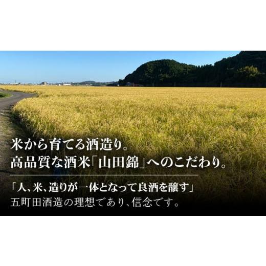 ふるさと納税 日本酒 純米吟醸酒 佐賀県 嬉野市  6回定期便 東一 純米吟醸 1.8L 1本 嬉野酒店 NBQ108 東一 五町田酒造 日本酒 酒 山田錦 純米吟醸酒 佐賀 嬉野…の画像