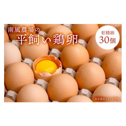 ふるさと納税 千葉県 南房総市 平飼い鶏卵 有精卵30個 10個入3パック(割れ保証3個含む)mi