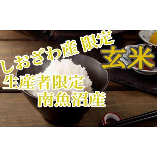 新品未使用！ ふるさと納税 新潟県 南魚沼市 【定期便5kg×12ヶ月】玄米 しおざわ産限定 生産者限定 南魚沼産コシヒカリ 【YW2651943316】(93420円)